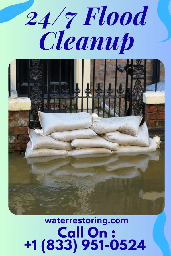 24/7 Flood Cleanup in Kawela Bay, HI