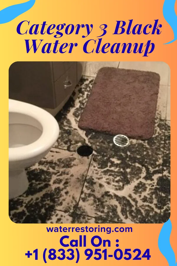 Category 3 Black Water Cleanup in Kawela Bay, HI