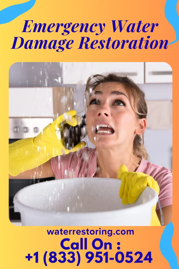 Emergency Water Damage Restoration in Kawela Bay, HI