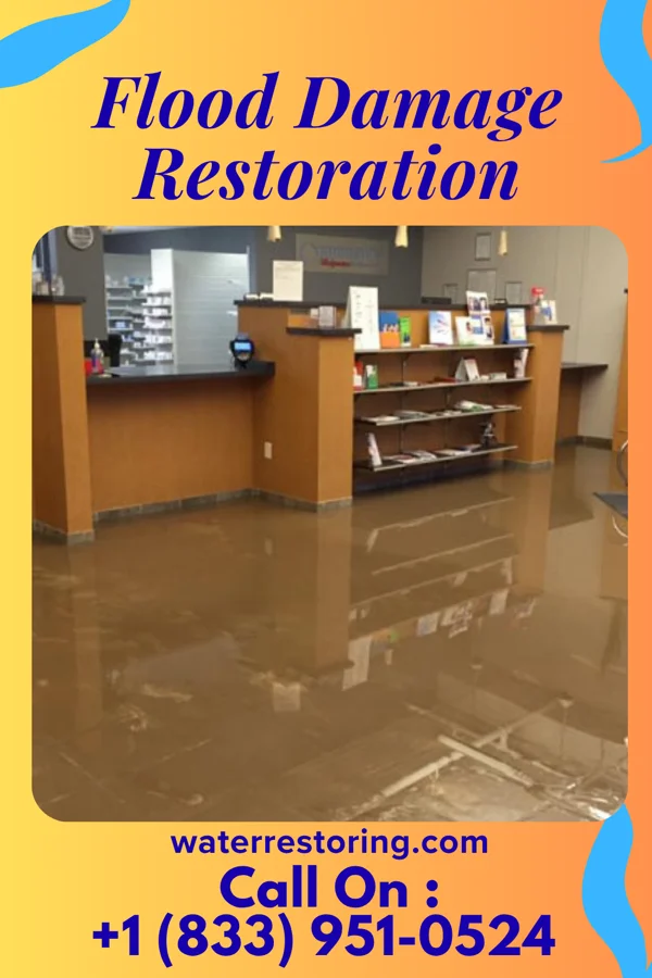 Flood Damage Restoration in Kawela Bay, HI