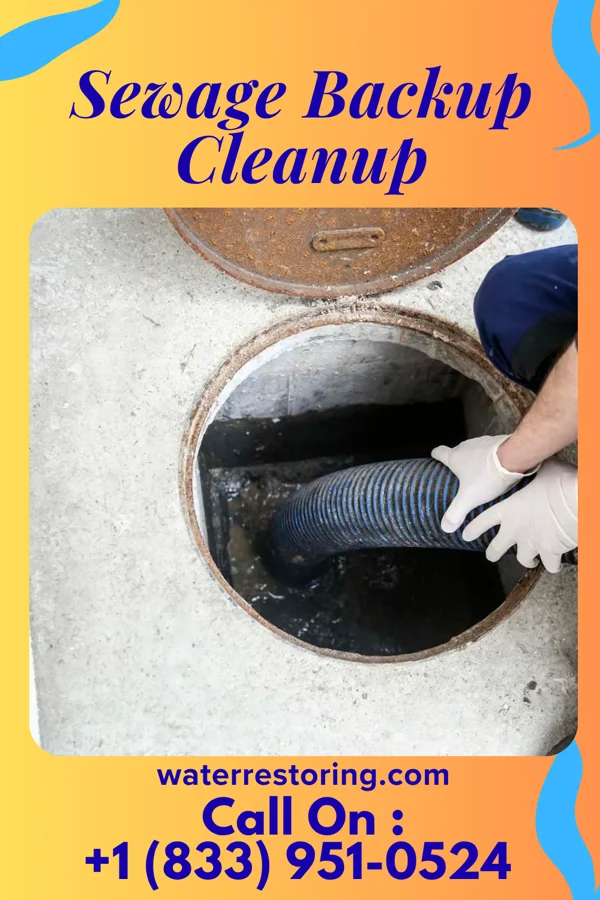 Sewage Backup Cleanup in Kawela Bay, HI